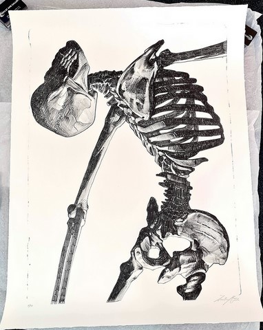 Skeleton Study / INSANE 51.