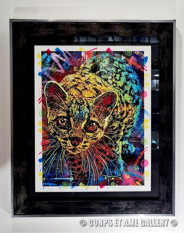 MARGAY / C215